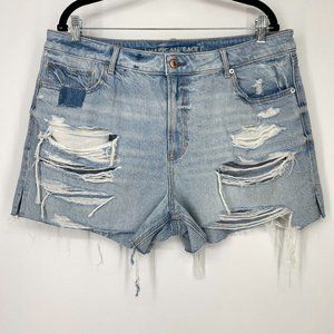American Eagle Outfitters Light Blue Distressed Jean Shorts